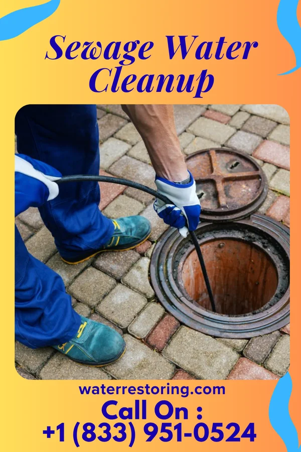 Sewage Water Cleanup in Williston Highlands, FL